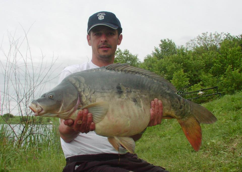 Fotografii de profil - av-1.jpg